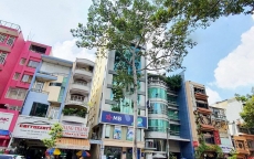 toa nha hoang khang building